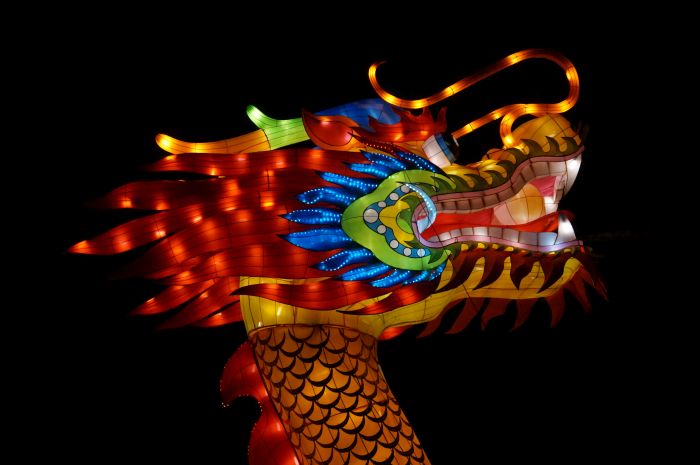 Dragon head China light