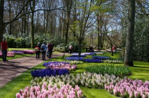 Keukenhof - Looking for a place to picnic - photo MSH