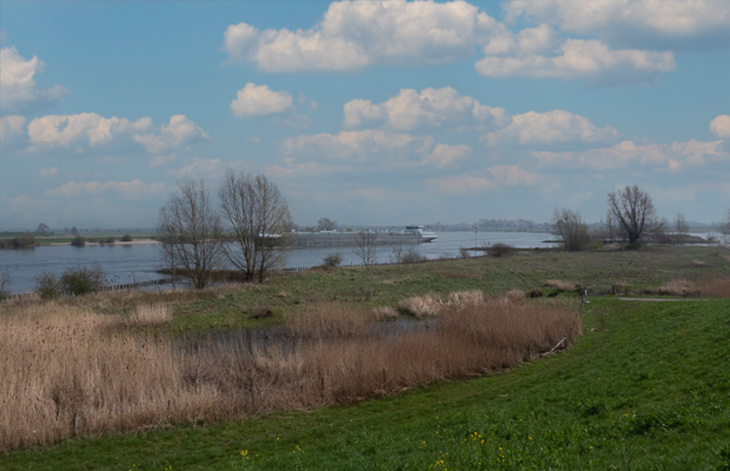 Nieuwpoort - River Lek