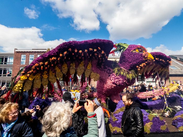 Endless row of floats on flower parade through the Dutch bulb fields fenix in town