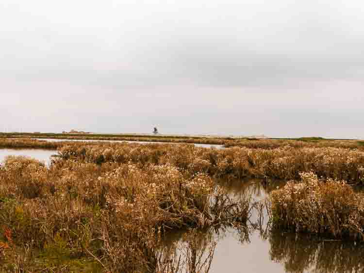 Nature Reserve Marker Wadden Tracking