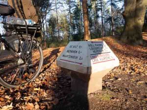 Cycling trhough the woods in the Netherlands to Royal Palace Soestdijk