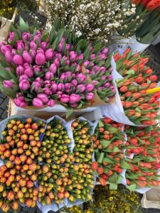 Tulips flowermarket