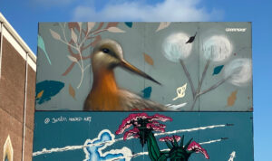 Birdwatching - Street-art