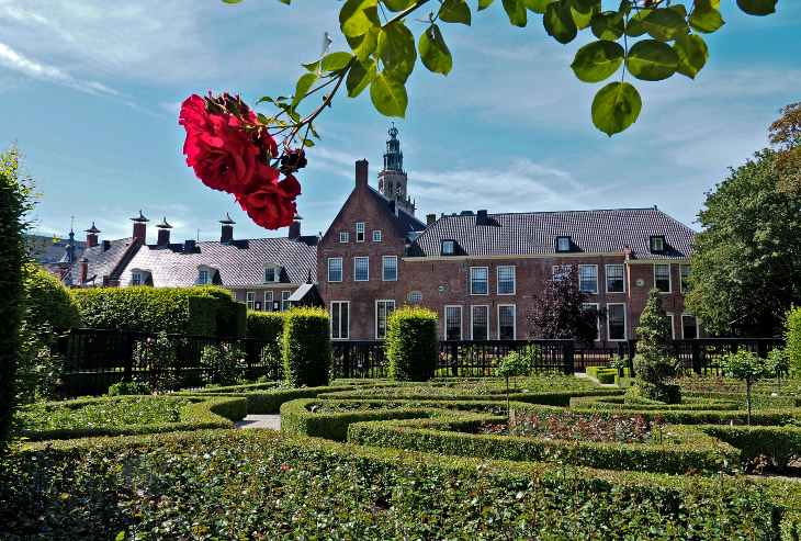 Tea garden Prinsenhof in Groningen
