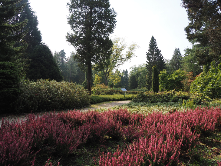 Hortus - Botanic Garden