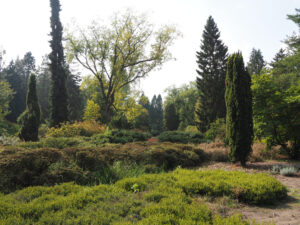 Hortus - Botanic garden
