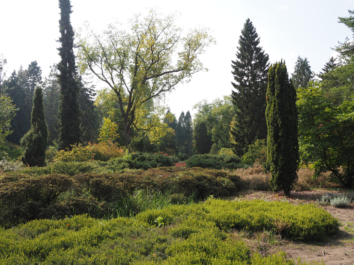 Arboretum Hortus 