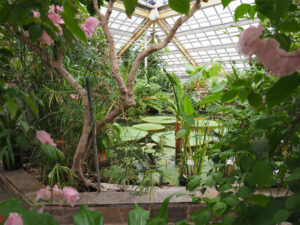 Hortus - Botanic Garden
