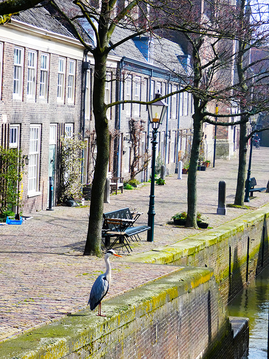 Dordrecht city