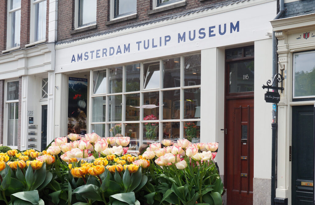 Amsterdam tulip Museum Prinsengracht 